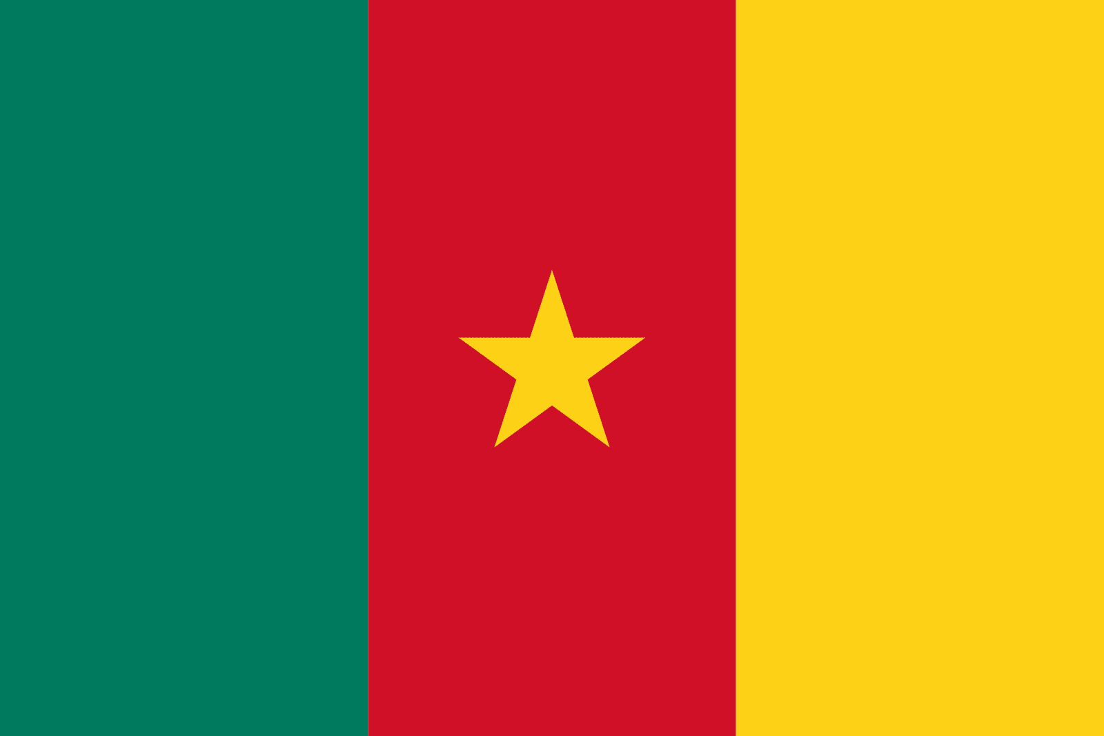 Kamerunische Flagge