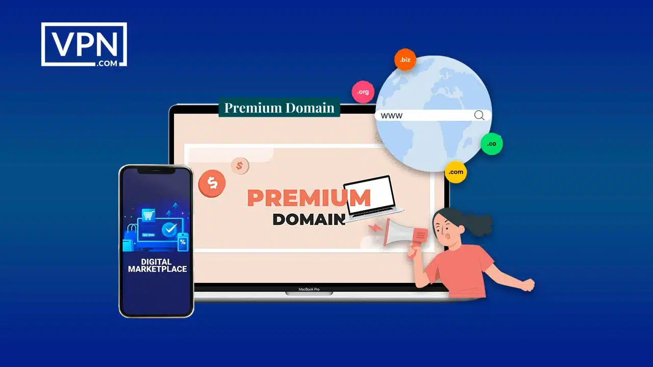 Assessing and categorizing premium domains