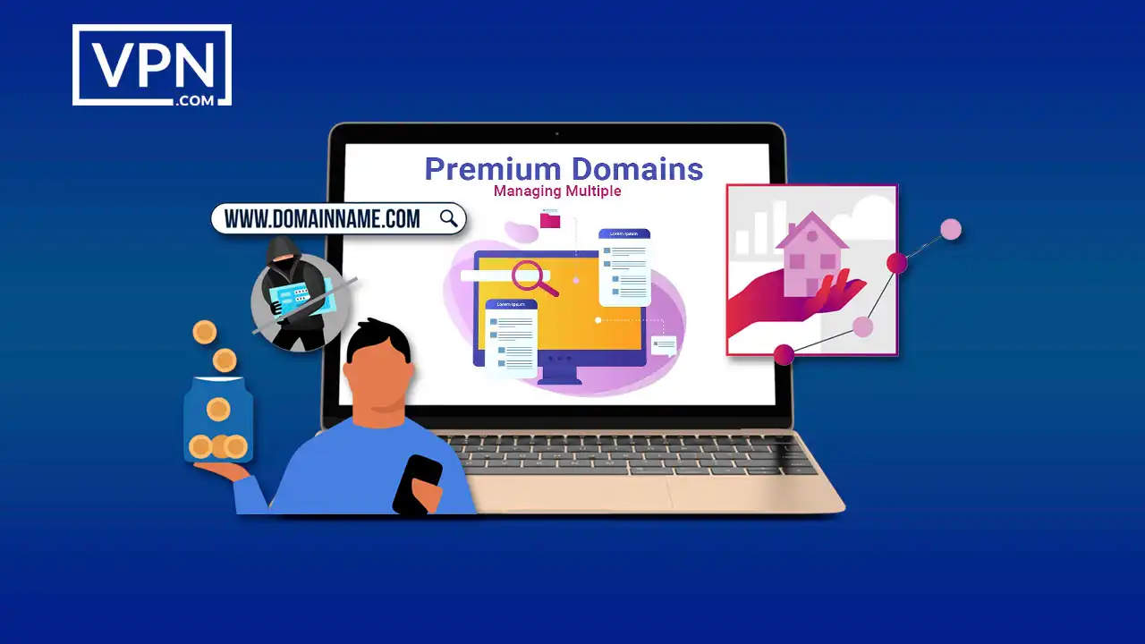 Efficient strategies for managing multiple premium domains