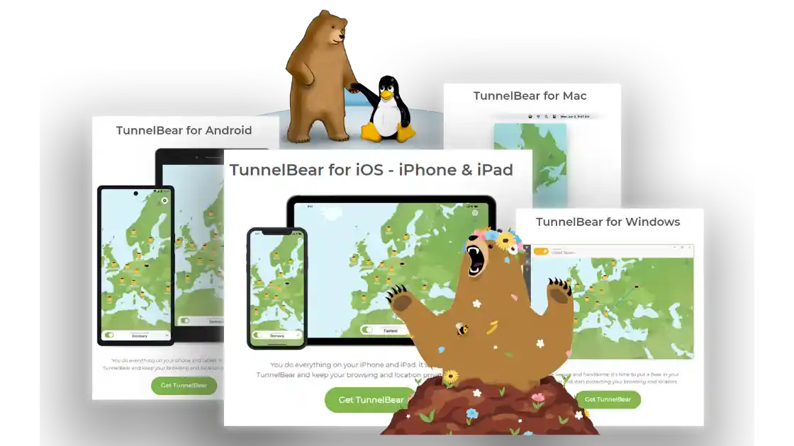 TunnelBear Installation Process